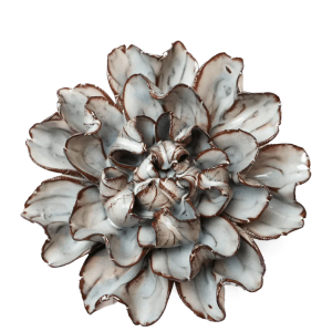 Chocolate Mint Echo Lisianthus #JA15
