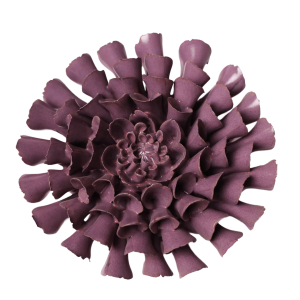 Violet Blue Cornel Dahlia #JA02