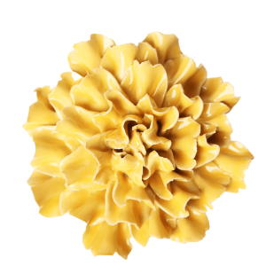 Burnt Yellow Tundra Carnation #EG48