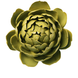 Chartreuse Queen Protea #EG46