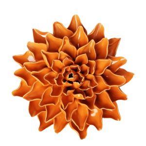 Orange Autumn Azalea #EG40
