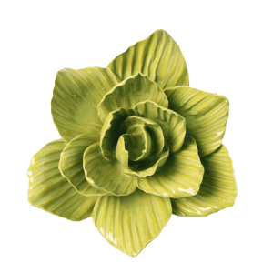 Chartreuse Gladiolus #EG33