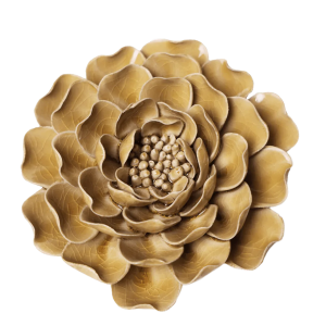Caramel Charm Peony #EG16