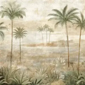 Draa Palms